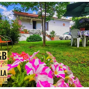  Bed & Breakfast Colori Della Versilia